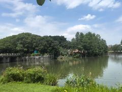 -海珠湖公园