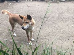 -费瑟代尔野生动物园