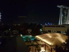 -新加坡文华东方酒店