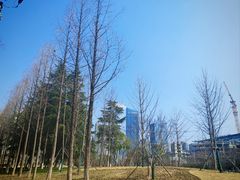 -后襄河公园