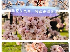-大蜀山国家森林公园