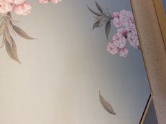 -贵菲·躺式采耳按摩SPA(北辰二分店)