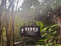 -呀诺达热带雨林