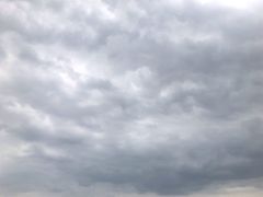 -西湖游船