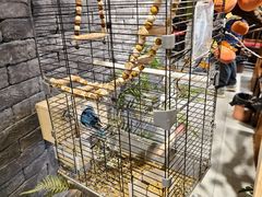 -许老八包子铺羊汤馆(绿地世纪城店)