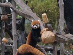 -广州动物园