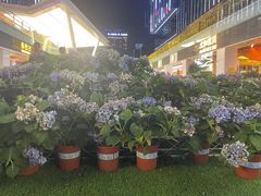 -HALO广场(梨园路店)
