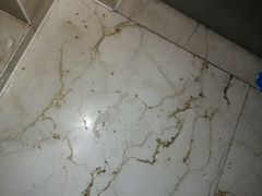 -三亚亚龙湾雅高铂尔曼别墅度假酒店