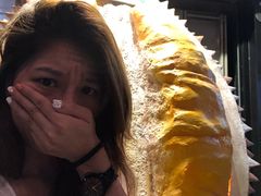 -都念榴莲·城市榴莲