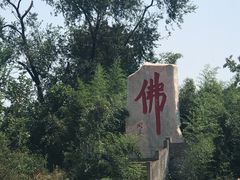-南海禅寺