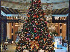 -上海东方佘山翰悦阁酒店·Vie全日制餐厅