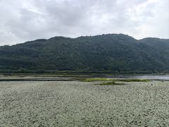 -腾冲北海湿地