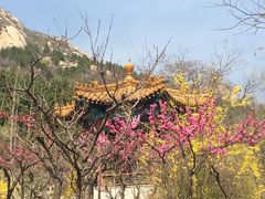 -北京凤凰岭