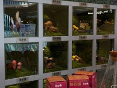 -芸山季·云南山珍菌火锅(南翔印象城MEGA店)