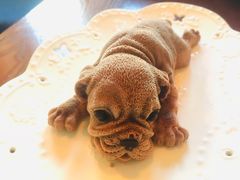 -Sirena海妖日咖夜酒