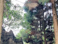 -梭布垭石林景区