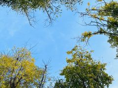 -木塔寺遗址生态公园