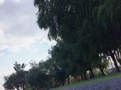 -九里河湿地公园