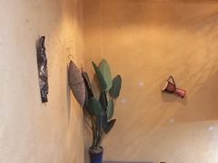 -土著渔匠·养生蝴蝶鱼(香樟路店)