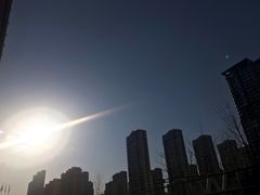 -宠爱国际动物医院· 猫科· 外科·中兽医(长白店)