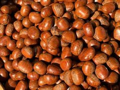 -傻二炒货龙虾(李沧旗舰店)