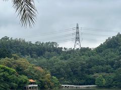 -深圳仙湖植物园