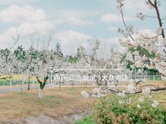 -国际非物质文化遗产博览园