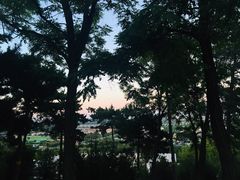 -鬼笑石后山停车场