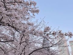 -西北湖绿化广场