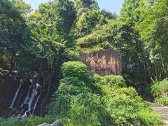 -峨眉山报国寺