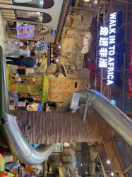 -卡通尼·Safari非洲探索乐园·生日会(金桥国际商业广场店)