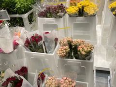 -盒马X会员店(王府井奥莱UP TOWN店)