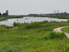 -春花秋色城市公园