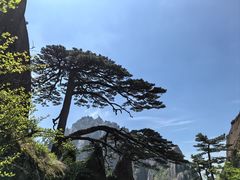 -黄山风景区