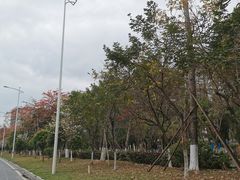 -松山湖南湖湾露营营地