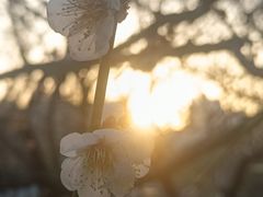 -大宁灵石公园西门票处