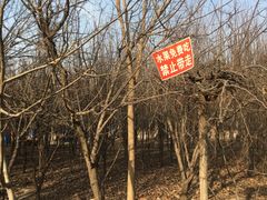 -1982农场