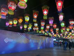 -锦江乐园舞狸花花游园会(夜场专享)