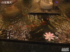 -汤泉良子.足疗按摩.SPA(中关村店)