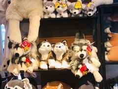 -TrueLove @ Neverland (Husky Cafe)