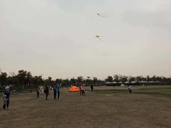 -春花秋色城市公园