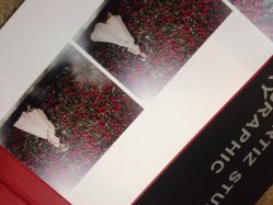 点击看大图 iphone_upload_pic-艺匠摄影ARTIZ STUDIO(南京店)