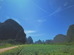 -钟山水墨田园