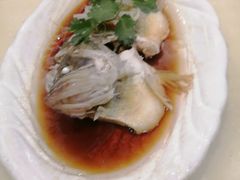 清蒸鱼-不倒翁·徽天下名菜楼(马鞍山路店)