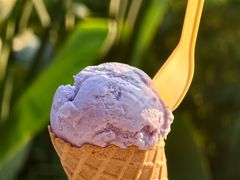 -成裕雪糕店(士多店)