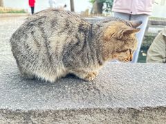 -西园寺