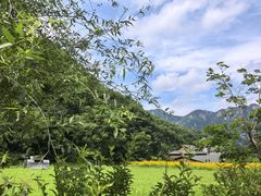 -大连天门山国家森林公园