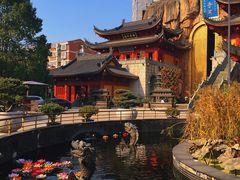 -上海东林寺(金山区)