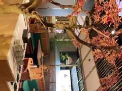 -滇色蒸汽石锅鱼(京华城店)
