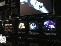 -同济大学四平路校区深海探索馆
